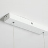 Миниатюра фото подвесной светильник imperium loft squirrel 220663-23 | 220svet.ru