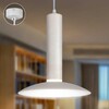 Миниатюра фото подвесной светильник эра pl14 wh б0061407 | 220svet.ru