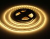 Миниатюра фото светодиодная лента теплый белый ambrella light 19,2w/m 240led/m 2835smd 3000к 5m gs1501 | 220svet.ru