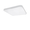 Миниатюра фото встраиваемый светодиодный светильник lightstar zocco qua led 226204 | 220svet.ru