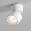 Миниатюра фото потолочный светильник elektrostandard 25112/led a067487 | 220svet.ru