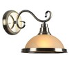 Миниатюра фото бра arte lamp safari a6905ap-1ab | 220svet.ru