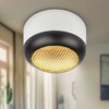 Миниатюра фото настенно-потолочный светильник эра ol56 wh/bk б0061881 | 220svet.ru