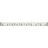 Миниатюра фото светодиодная лента 4000к rgb 24в 14,4вт/м 5м maytoni ultra 201133 | 220svet.ru