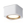 Миниатюра фото накладной светильник ambrella light techno spot techno tn70831 | 220svet.ru