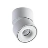 Миниатюра фото светодиодный спот italline it02-001 dim white | 220svet.ru