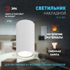 Миниатюра фото настенно-потолочный светильник эра ol31 wh б0056375 | 220svet.ru
