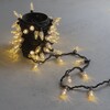 Миниатюра фото гирлянда «шишки» 10м тепло-белая 220в, 100 led, провод черный каучук, ip65 ltc cn100-2-2ww | 220svet.ru