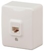Миниатюра фото розетка информационная rj45 эра 11-3203-02 б0020731 | 220svet.ru