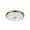 Миниатюра фото потолочный светильник odeon light pelow 4956/4 | 220svet.ru