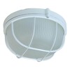 Миниатюра фото настенно-потолочный светильник эра нбп 03-100-002 б0048422 | 220svet.ru