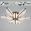 Миниатюра фото потолочный светильник reluce 00490-0.3-6+6 champagne silver | 220svet.ru