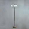 Миниатюра фото торшер brizzi ma02640f/003 ch | 220svet.ru