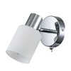 Миниатюра фото спот escada nordic 10178/1a | 220svet.ru