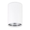 Миниатюра фото потолочный светильник ambrella light techno spot tn213101 | 220svet.ru