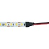 Миниатюра фото светодиодная лента feron 11w/m 120led/m 2835smd 6500к 5m свободный рез ls506 53059 | 220svet.ru