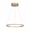 Миниатюра фото подвесной светодиодный светильник st luce st604.243.22 | 220svet.ru