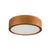 Миниатюра фото настенно-потолочный светильник kanlux jasmin 270-g/o 36440 | 220svet.ru