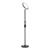 Миниатюра фото торшер citilux click cl810021 | 220svet.ru