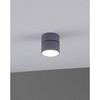 Миниатюра фото спот moderli cora v11902-1c | 220svet.ru