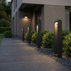 Миниатюра фото ландшафтный поворотный светильник led 3000k ip54 elektrostandard dors 35163/f черный | 220svet.ru