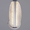 Миниатюра фото бра reluce 00490-0.2-01s champagne silver | 220svet.ru