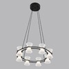 Миниатюра фото подвесная люстра светодиодная lumion vinora 8341/28l черный | 220svet.ru