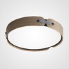Миниатюра фото потолочный светильник imperium loft range 195540-26 | 220svet.ru