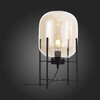 Миниатюра фото торшер st luce burasca sl1050.505.01 | 220svet.ru