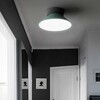 Миниатюра фото подвесной светильник imperium loft 193556-26 | 220svet.ru