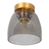 Миниатюра фото потолочный светильник lucide tyler 30164/01/02 | 220svet.ru