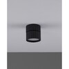 Миниатюра фото спот moderli v11899-1c | 220svet.ru