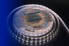 Миниатюра фото влагозащищенная лента designled 26,8w/m 120led/m 5730smd теплый/холодный белый 5m 001823 | 220svet.ru