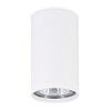 Миниатюра фото потолочный светильник ambrella light techno spot tn213108 | 220svet.ru