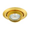 Миниатюра фото точечные светильники kanlux argus ct-2117-g 308 | 220svet.ru