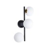 Миниатюра фото настенный светильник arte lamp gemini a2243pl-3bk | 220svet.ru