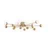 Миниатюра фото потолочный светильник freya celebrity fr5242cl-16bs | 220svet.ru