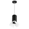 Миниатюра фото подвесной светильник lightstar rullo (214437+590057+202436) rp437436 | 220svet.ru